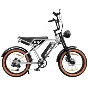 RCB – RK29 Fatbike - 500W