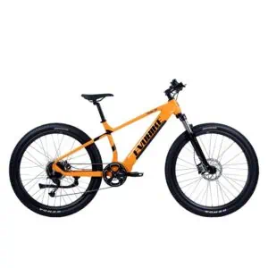 EvoBike Trail 2024 från unisex.