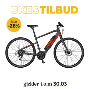 Momas Randolph XL 2022 från Momas.