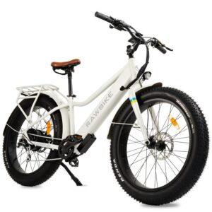 RAWBIKE URBAN