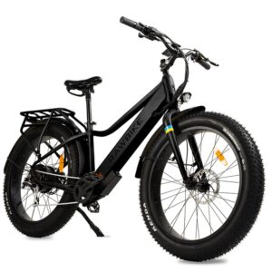RAWBIKE URBAN