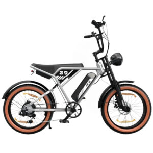 RCB – RK29 Fatbike - 250W, Silver