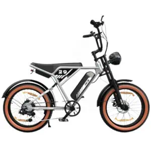 RCB – RK29 Fatbike - 250W, Silver