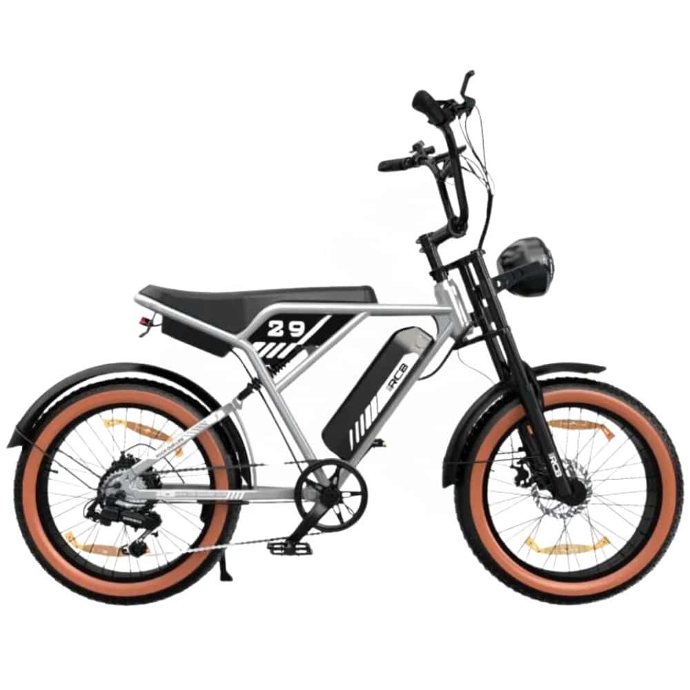 RCB – RK29 Fatbike - 250W, Silver