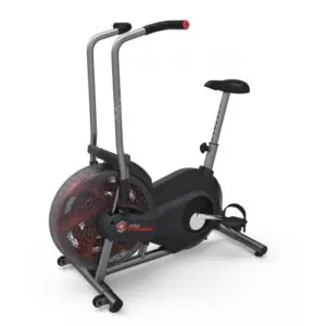 Schwinn Airdyne AD2 från Schwinn.