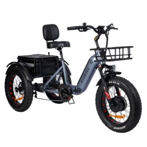 Evobike Tricycle Pro från Evobike.
