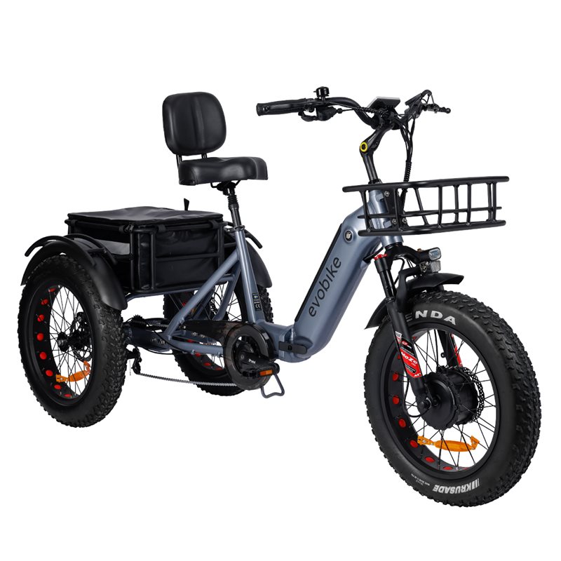 Evobike Tricycle Pro från Evobike.