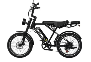 Greentrip UrbanRide 29 – Elcykel med Extra Säte för Smidiga Stadsturer  från .