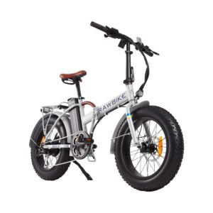 Rawbike 250E Snowstorm från Rawbike.