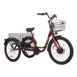 Evobike Elegant från Evobike.