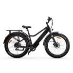 RAWBIKE Urban Elcykel Onyx från RAWBIKE.