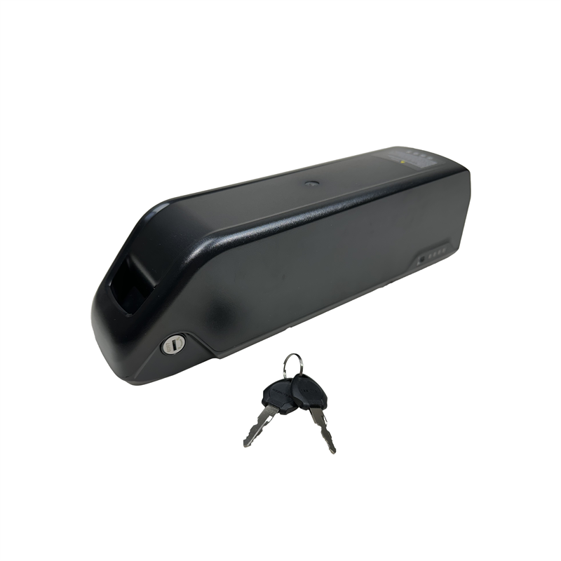 Litiumbatteri 48V 10Ah