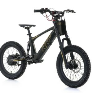 Trix-elcykel 500W RXF EVO 18" Svart/Guld - 30km/h från Apollo.