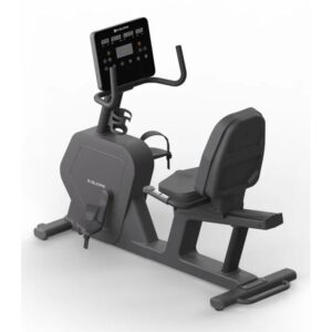 Skelcore SK Recumbent Bike
